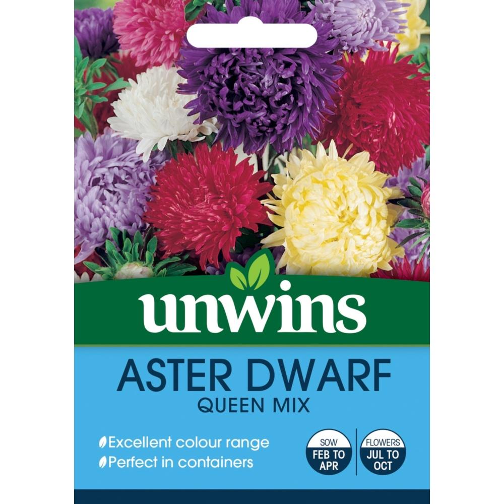 Unwins Aster Dwarf Queen Mix