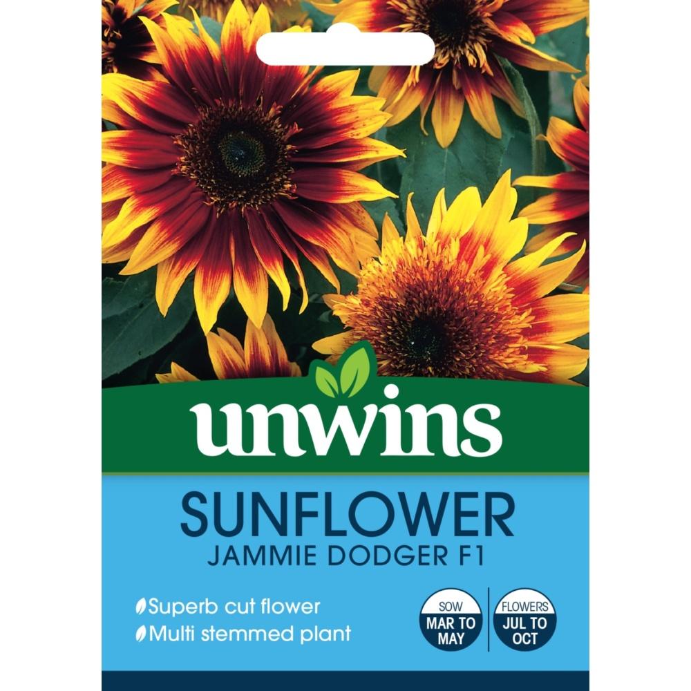 Unwins Sunflower Jammie Dodger F1