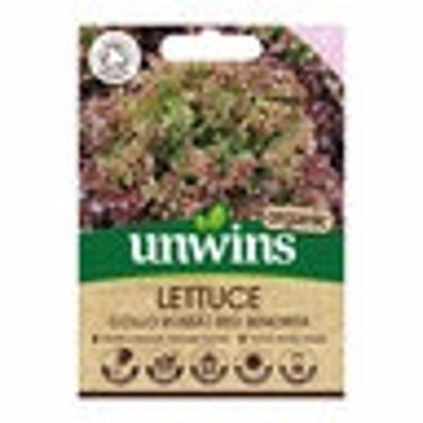 Lettuce (Lollo) Red Senorita (Organic)
