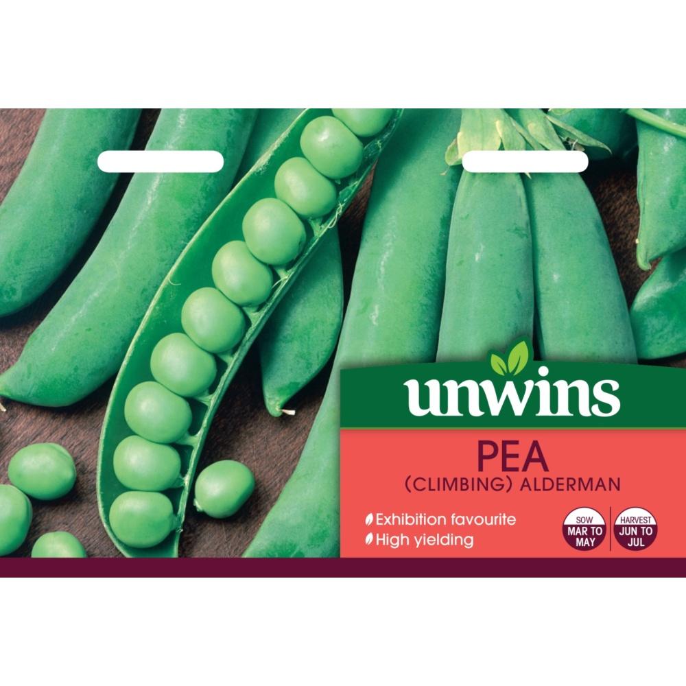 Unwins Pea (Climbing) Alderman