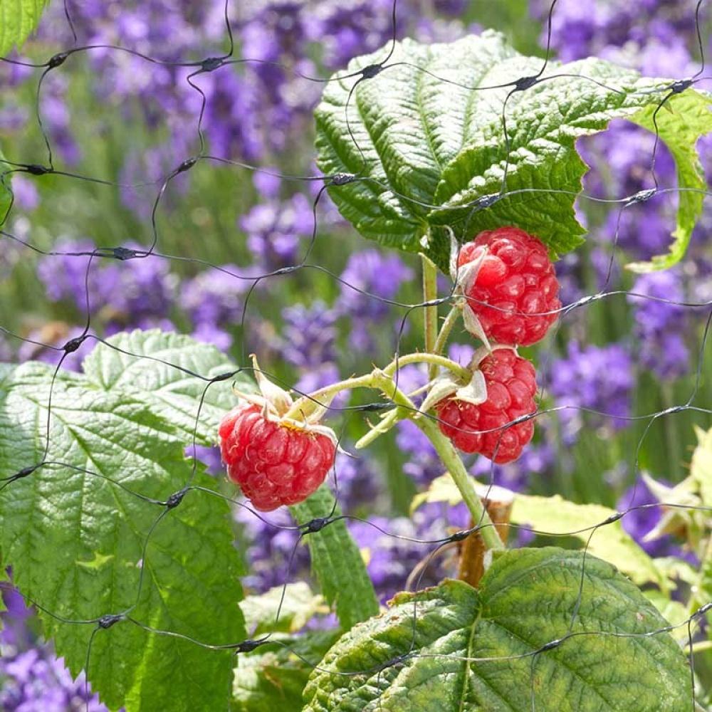 Smart Garden - Fruit Netting, 25mm Black Mesh, 4M X 10M