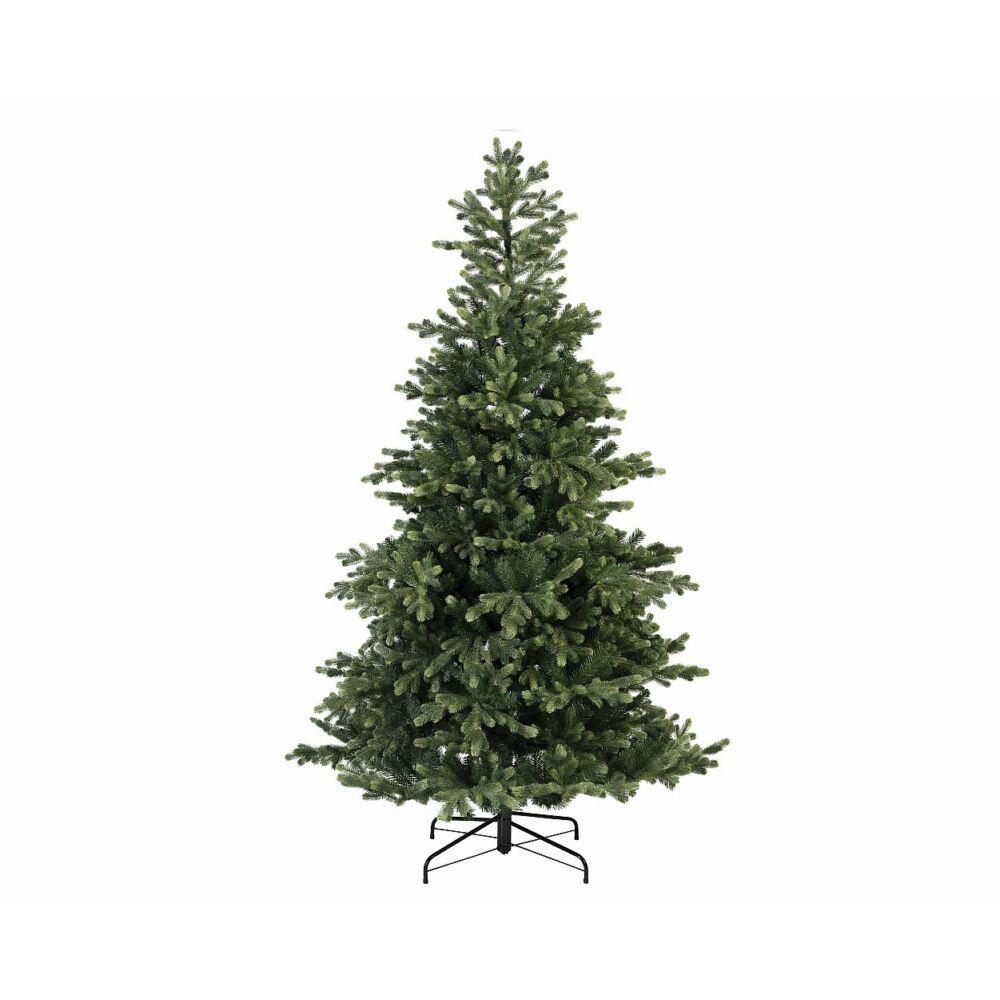 Geneva Fir Tree - 7Ft