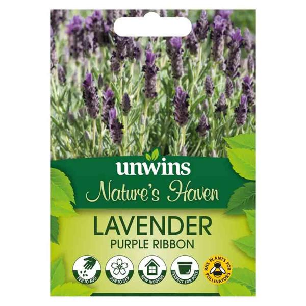 Unwins Nh Lavender Purple Ribbonflower