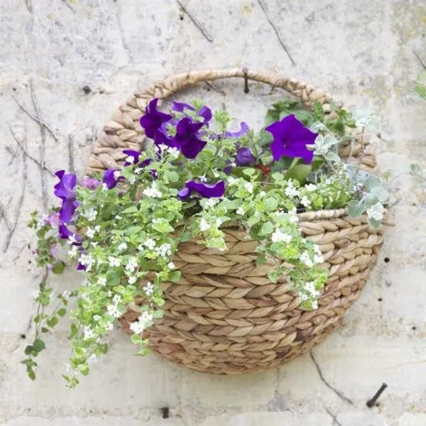 16In Hyacinth Wall Basket