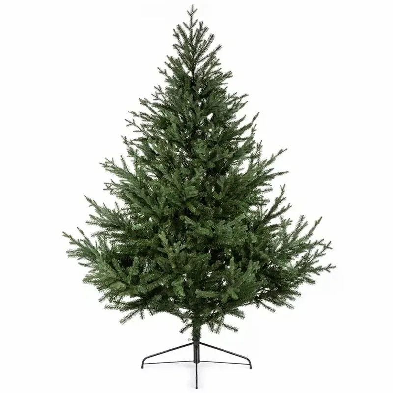 The Glenshee Spruce Tree - 7 ft